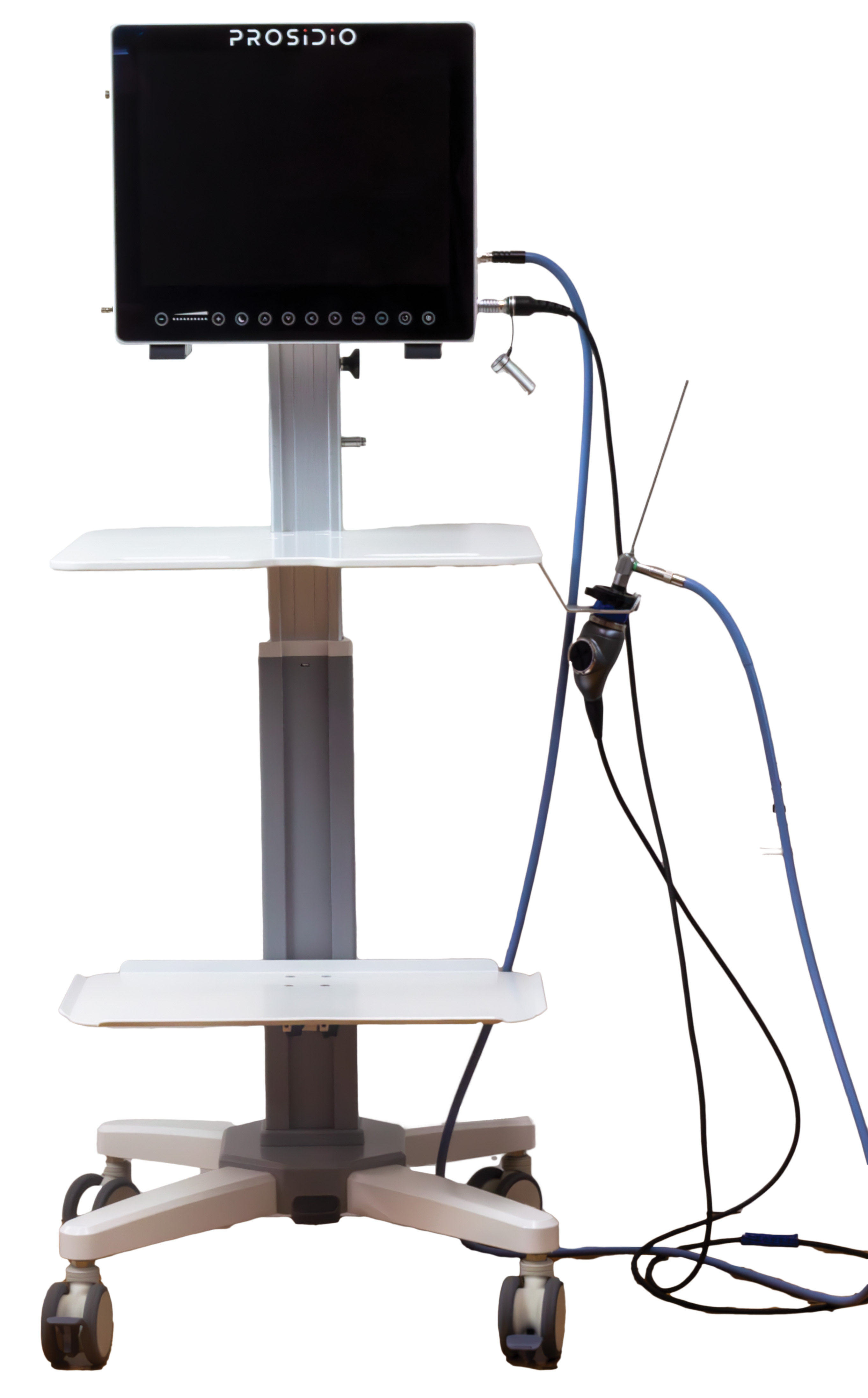 Endoscopy Platforms (Carts & Mounts)